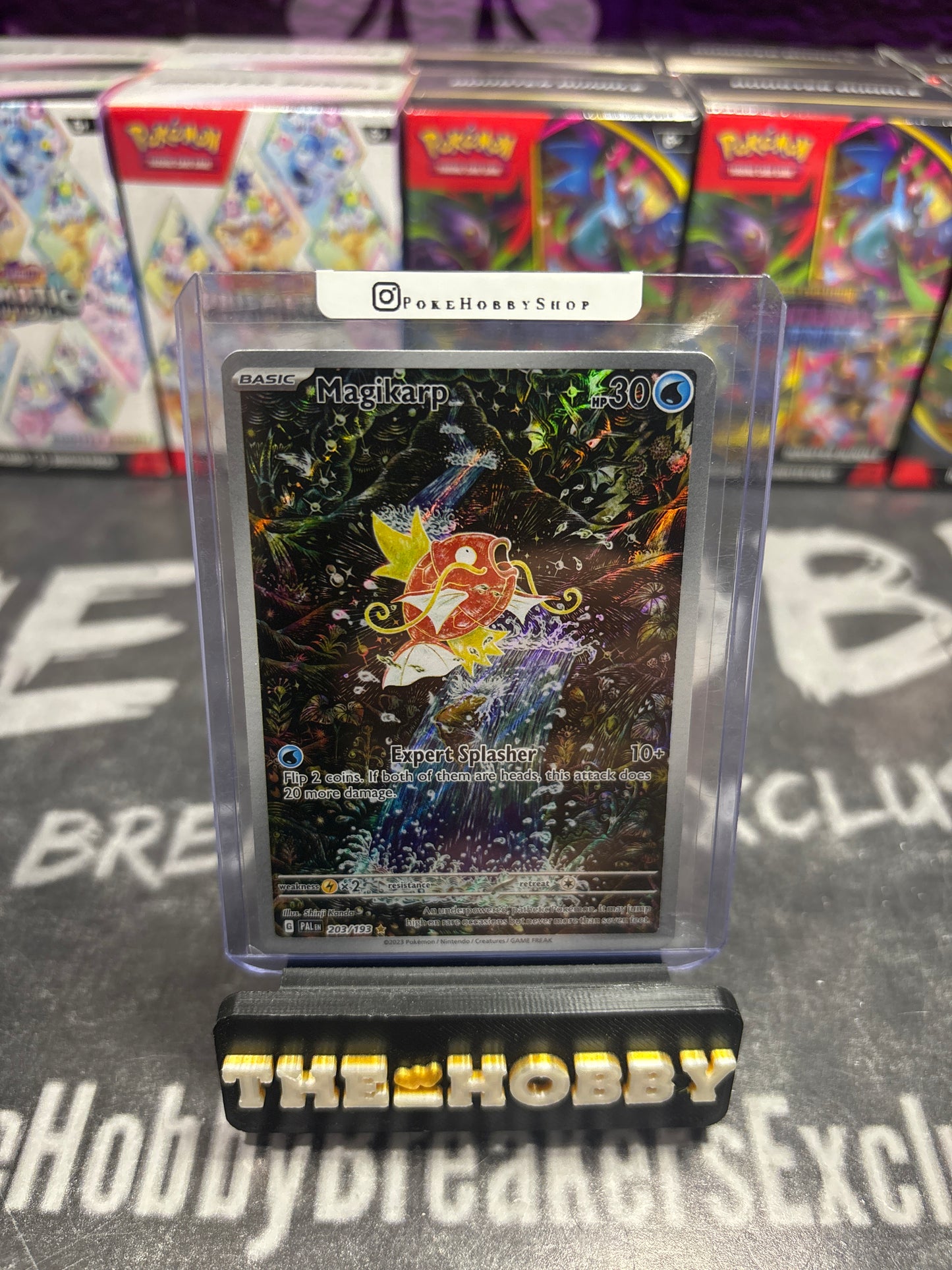 Magikarp (NM)
