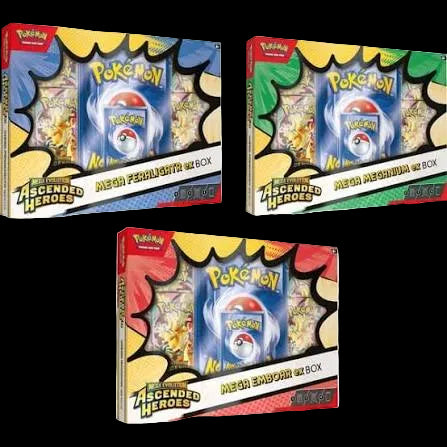 Pokemon Mega Evolution Ascended Heroes Mega ex Box (1 Randomly Selected Box)